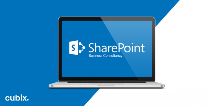 Why You Need a SharePoint Consultant for Your Business?